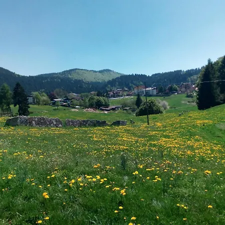 Ξενοδοχείο Belvedere Roana