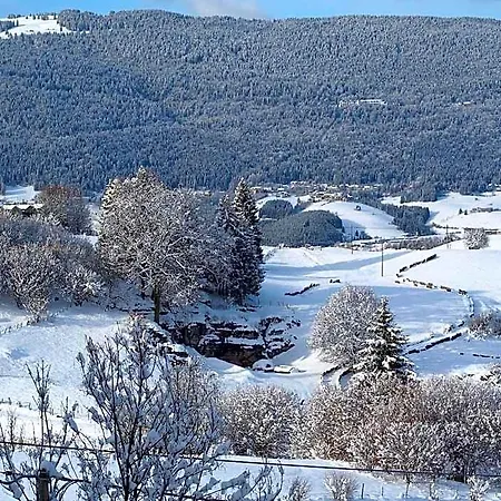 Hotel Belvedere Roana