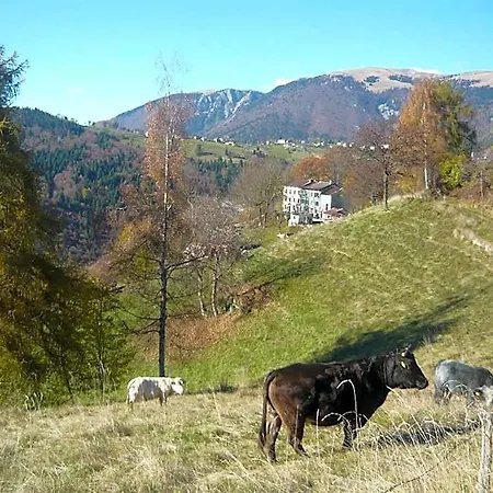 Belvedere Hotel Roana