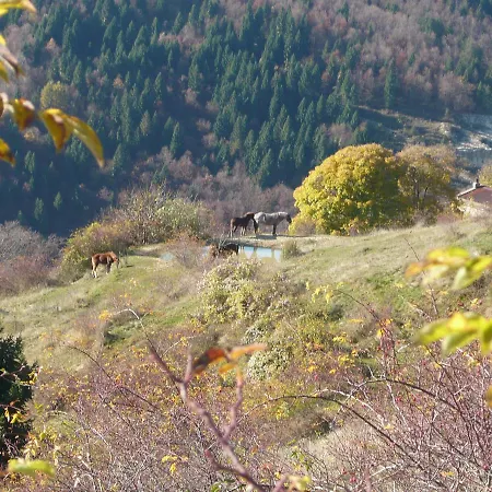 Hotel Belvedere Roana