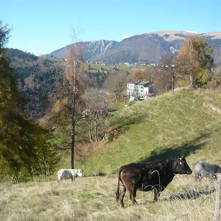 Belvedere