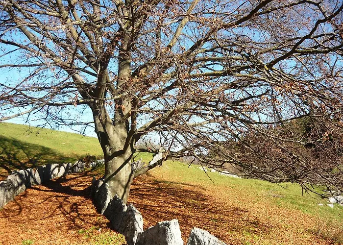 Отель Belvedere