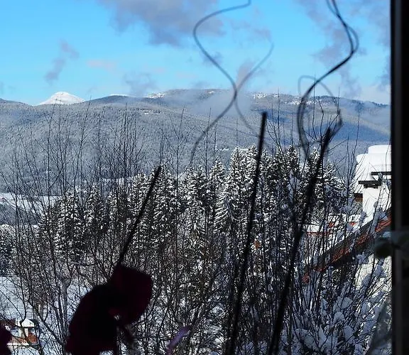 Belvedere Роана