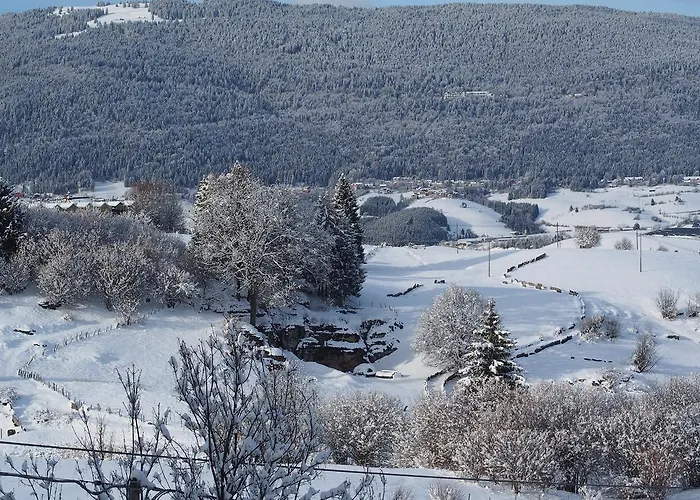 Отель Belvedere Роана