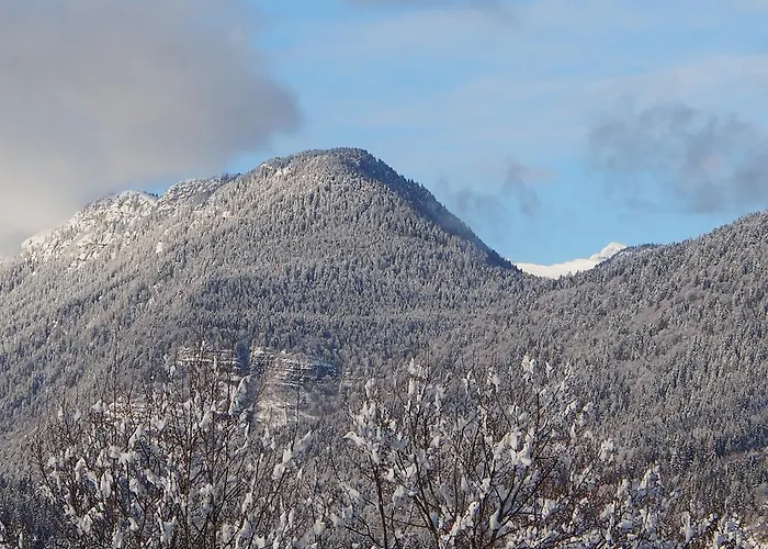 Belvedere Роана