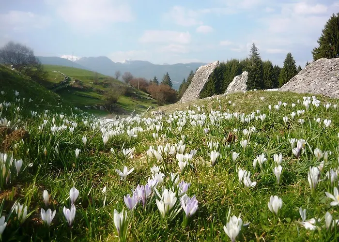 Belvedere Отель 3*