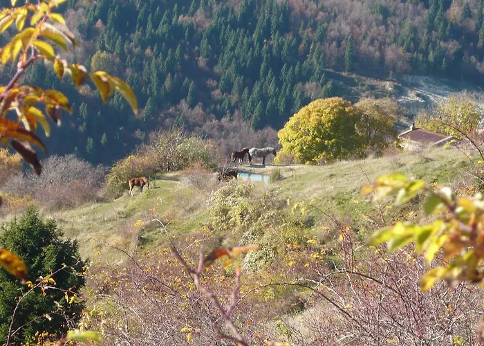 Отель Belvedere Роана