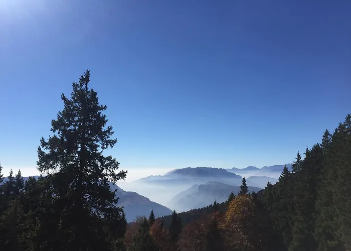 Belvedere Роана