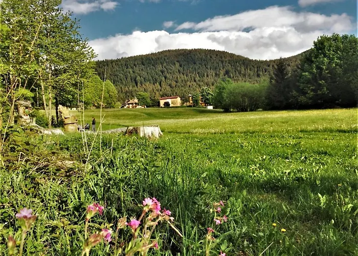 Belvedere 3* Роана