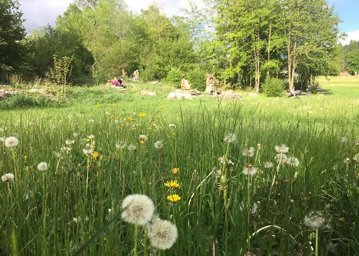 Belvedere Роана