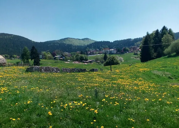 Отель Belvedere Роана